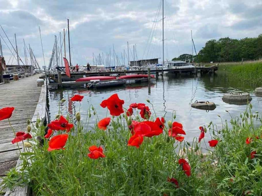 Ferienhaus Mit Wasserblick Auf Der Insel Usedom Krummin المظهر الخارجي الصورة